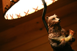 Bearfoot Cabin
