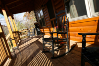 Bearfoot Cabin