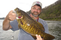 New River Smallmouth