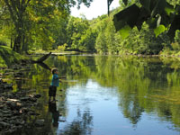 Walker Creek