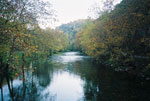 Walker Creek